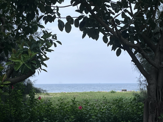 沉默是金1w6海报