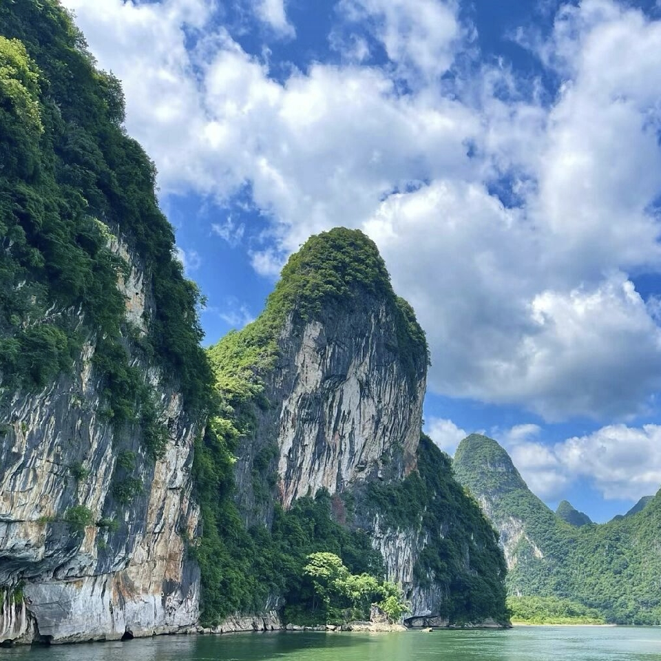 一杯清茶🌻海报