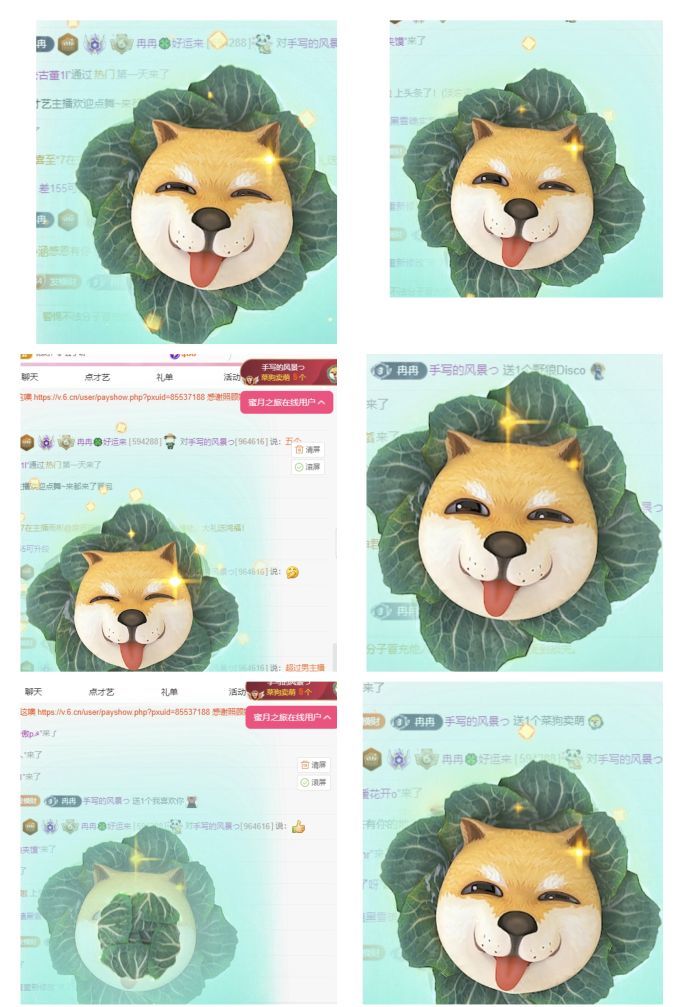 冉冉🍀好运来的图片