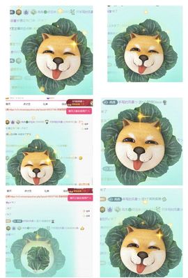 冉冉🍀好运来！的图片