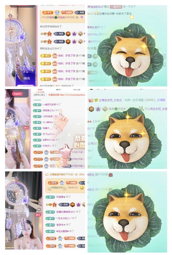 冉冉🍀好运来的图片
