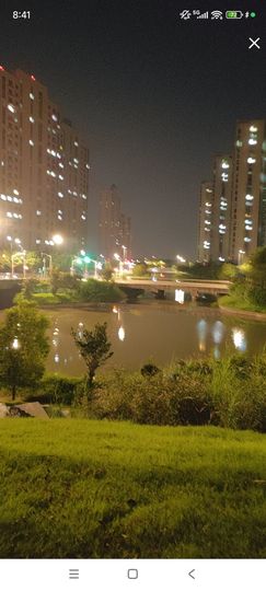 婷婷💕感恩有你陪伴主播照片