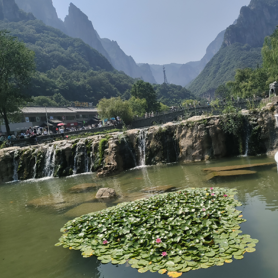 ✨阿剑海报