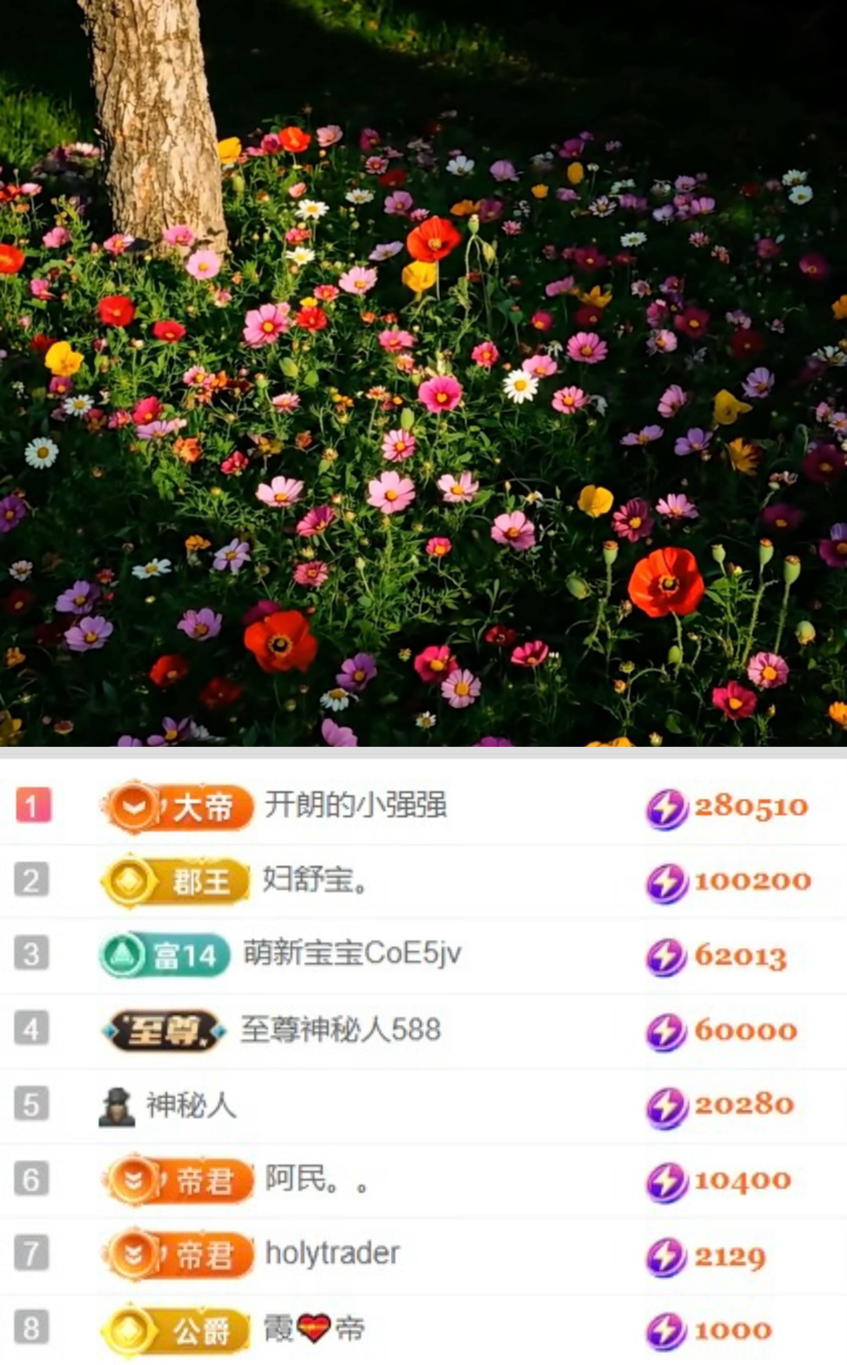 开朗！主播图片