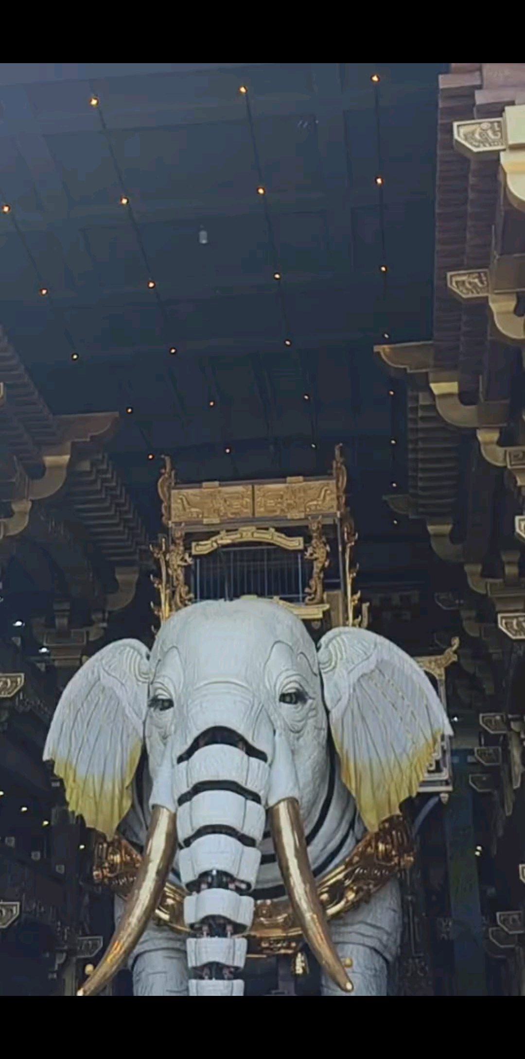 游山玩水拍的