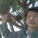 顺其自然l杨玉勇的头像