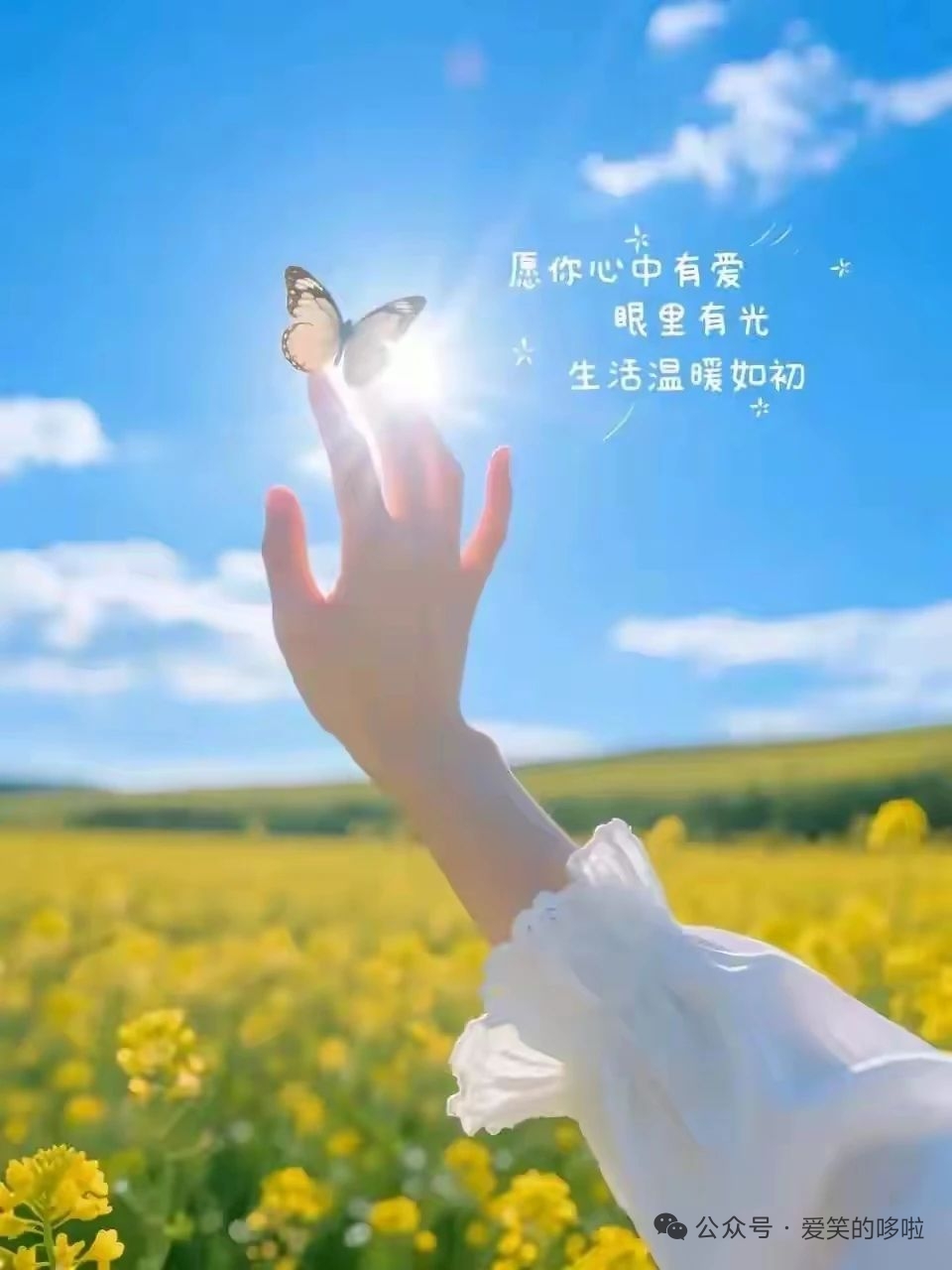 此主播没大哥随便刷主播图片
