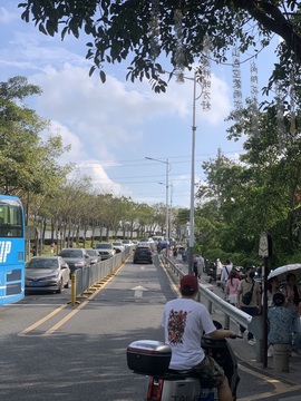 白Y鸭求投喂的图片