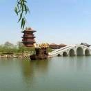 赵老师w