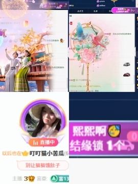 叮叮猫小苦瓜(休的图片
