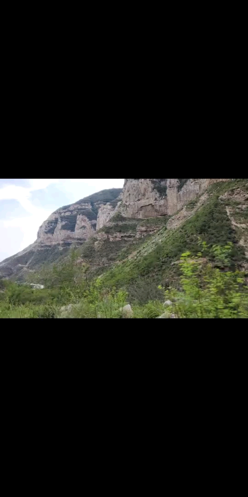 山上没网/大哭