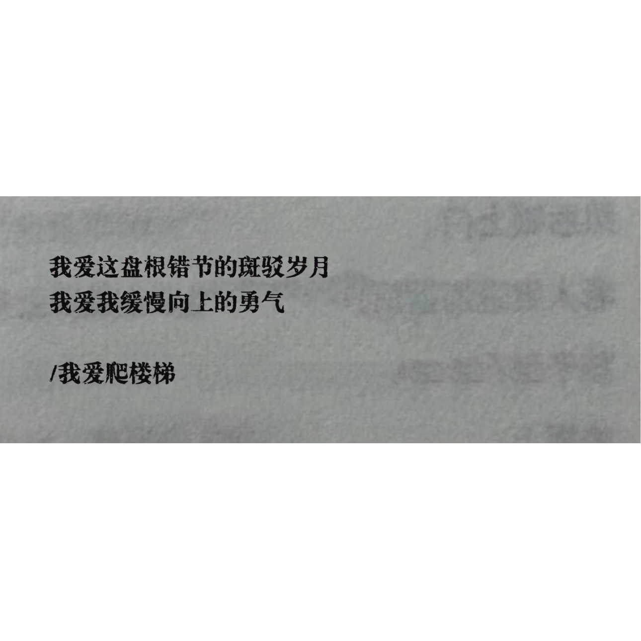 娜扎🧸休2主播图片