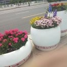 靳钰晨家长。