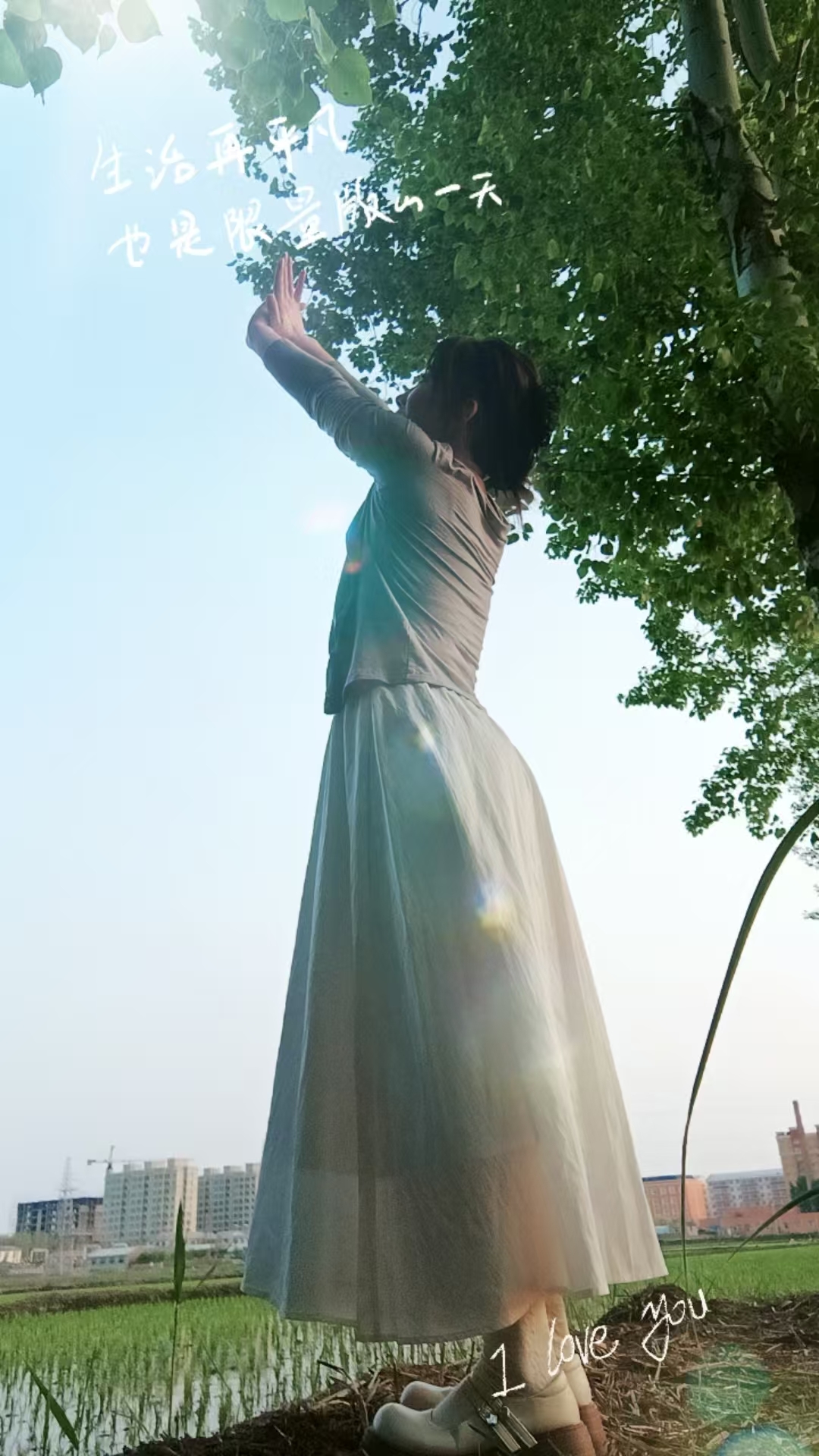 粮芯加加油主播图片