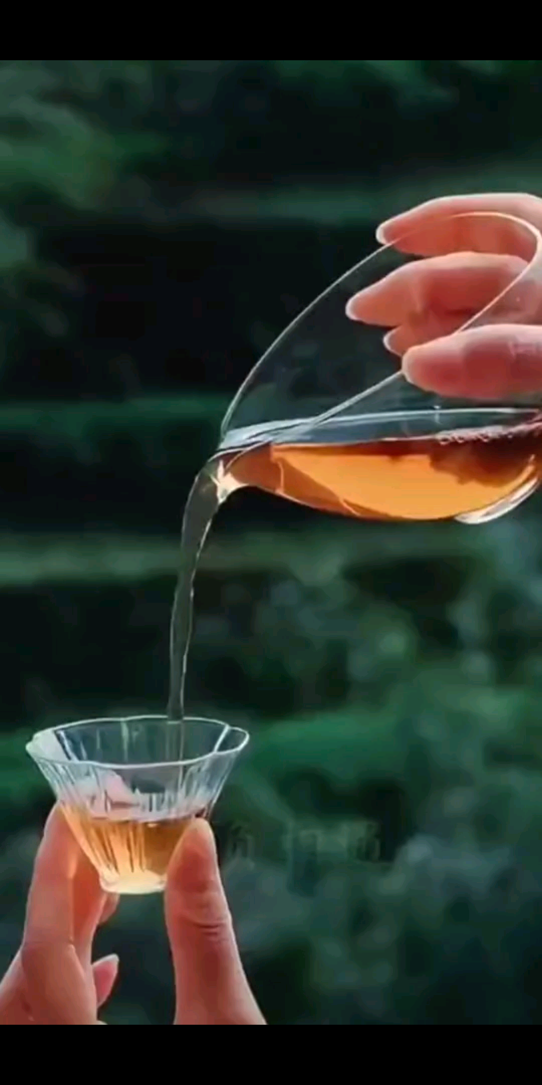七夕，一年中最浪漫的