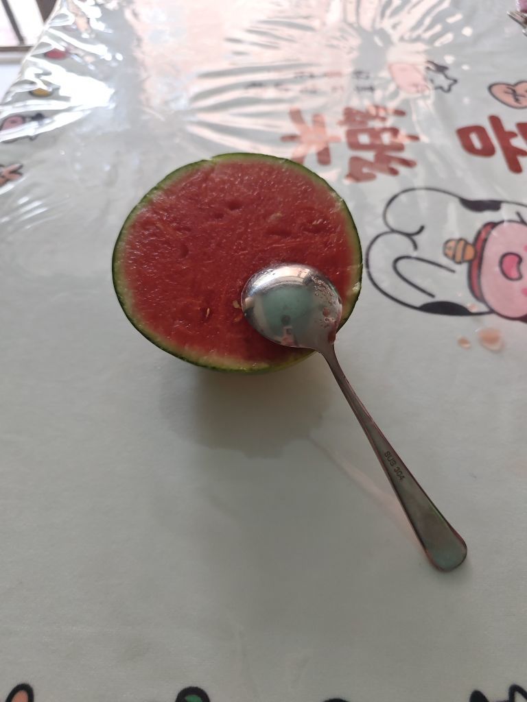 思瑶❤️不负相遇主播图片