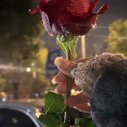 💘柒柒💝