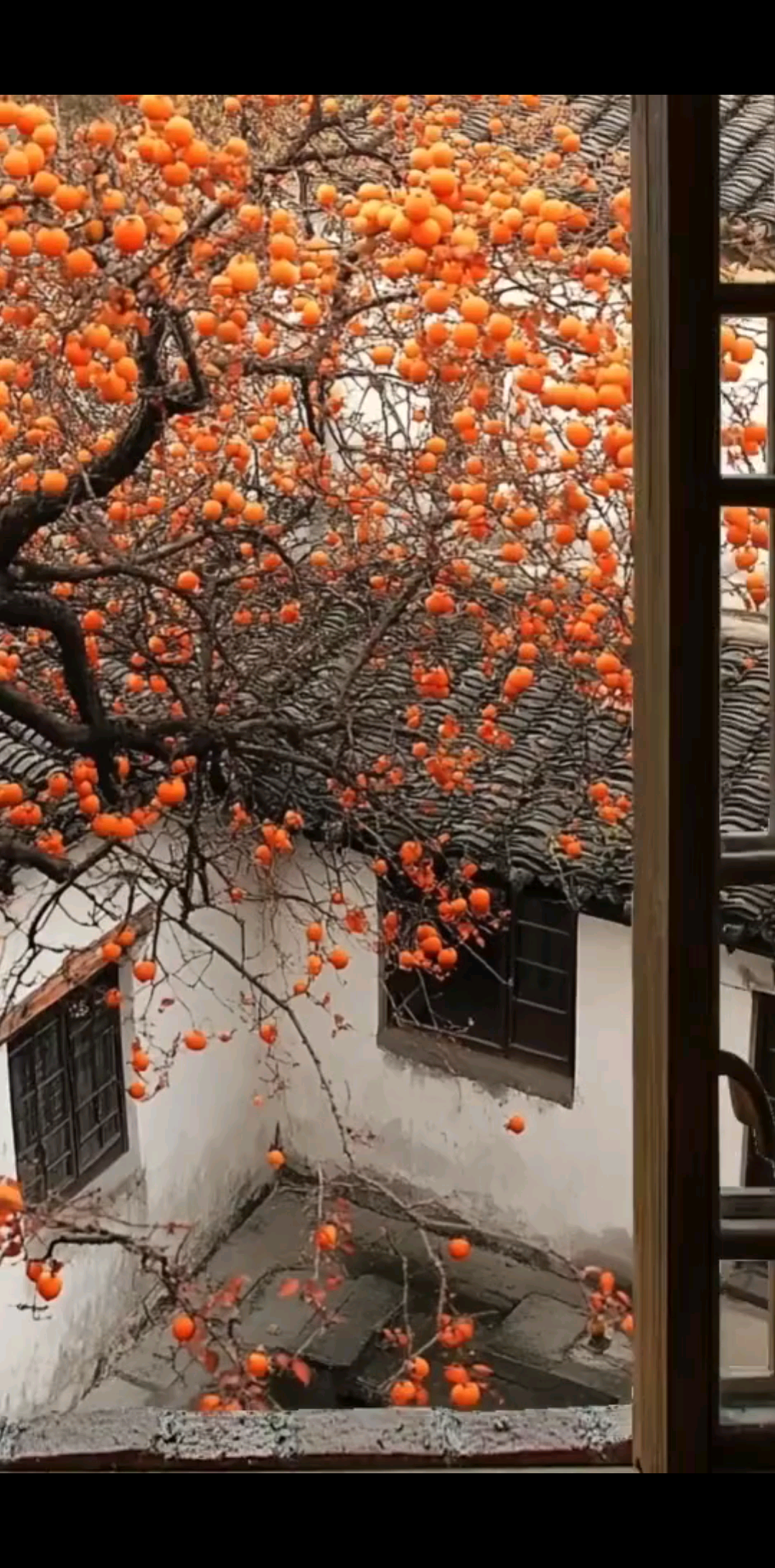 😊😊愿你所有的不开心