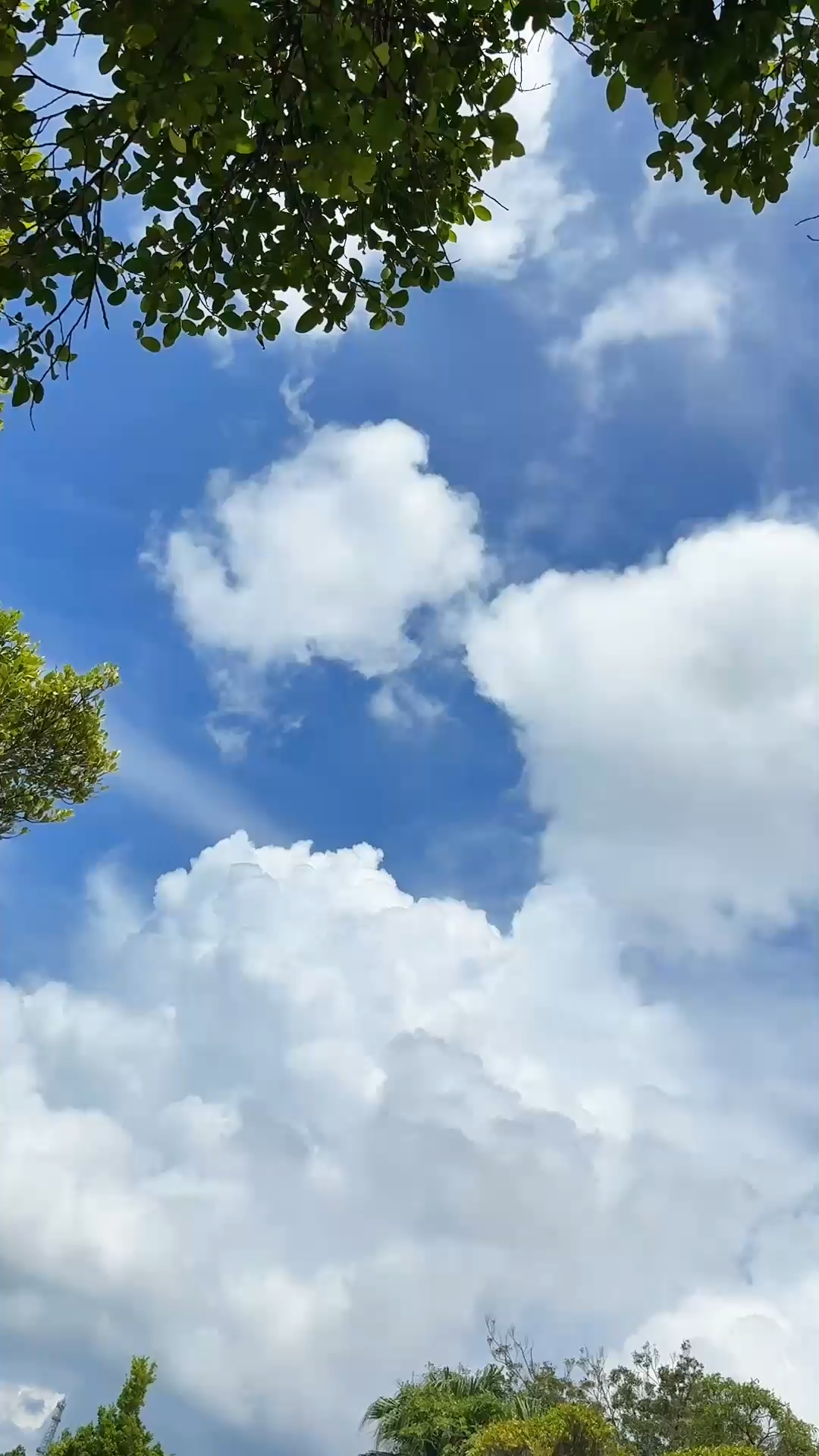 品人间冷暖、看大好山