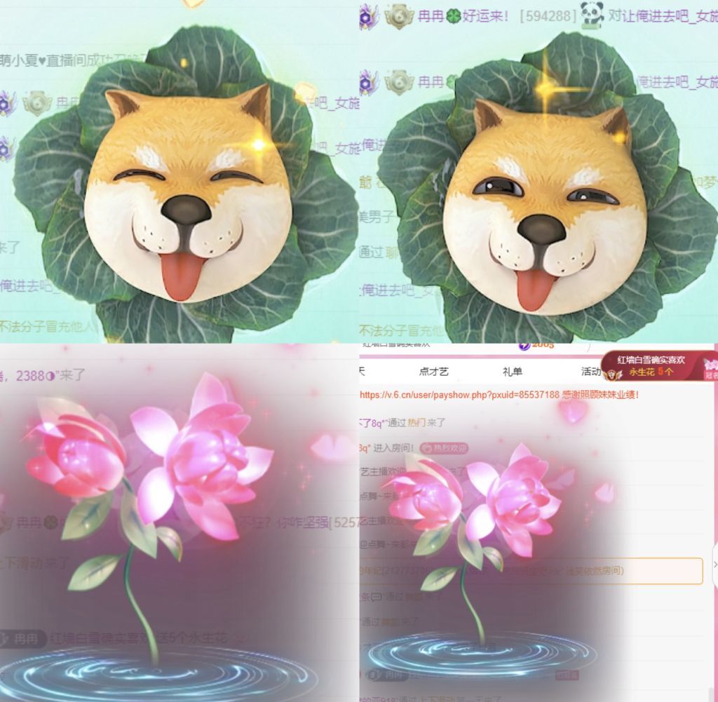 冉冉🍀好运来！的图片