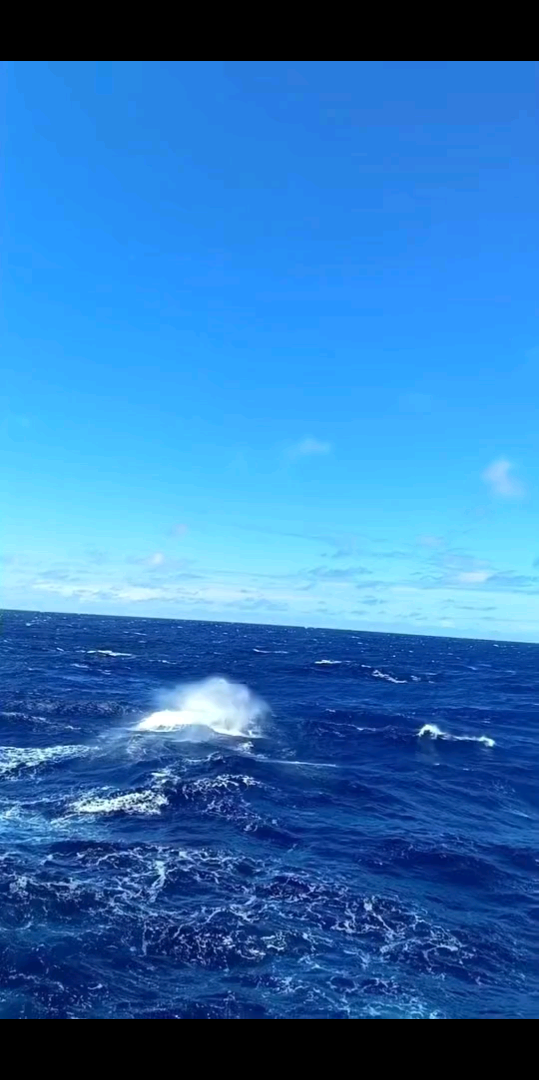人生就像大海，总有潮