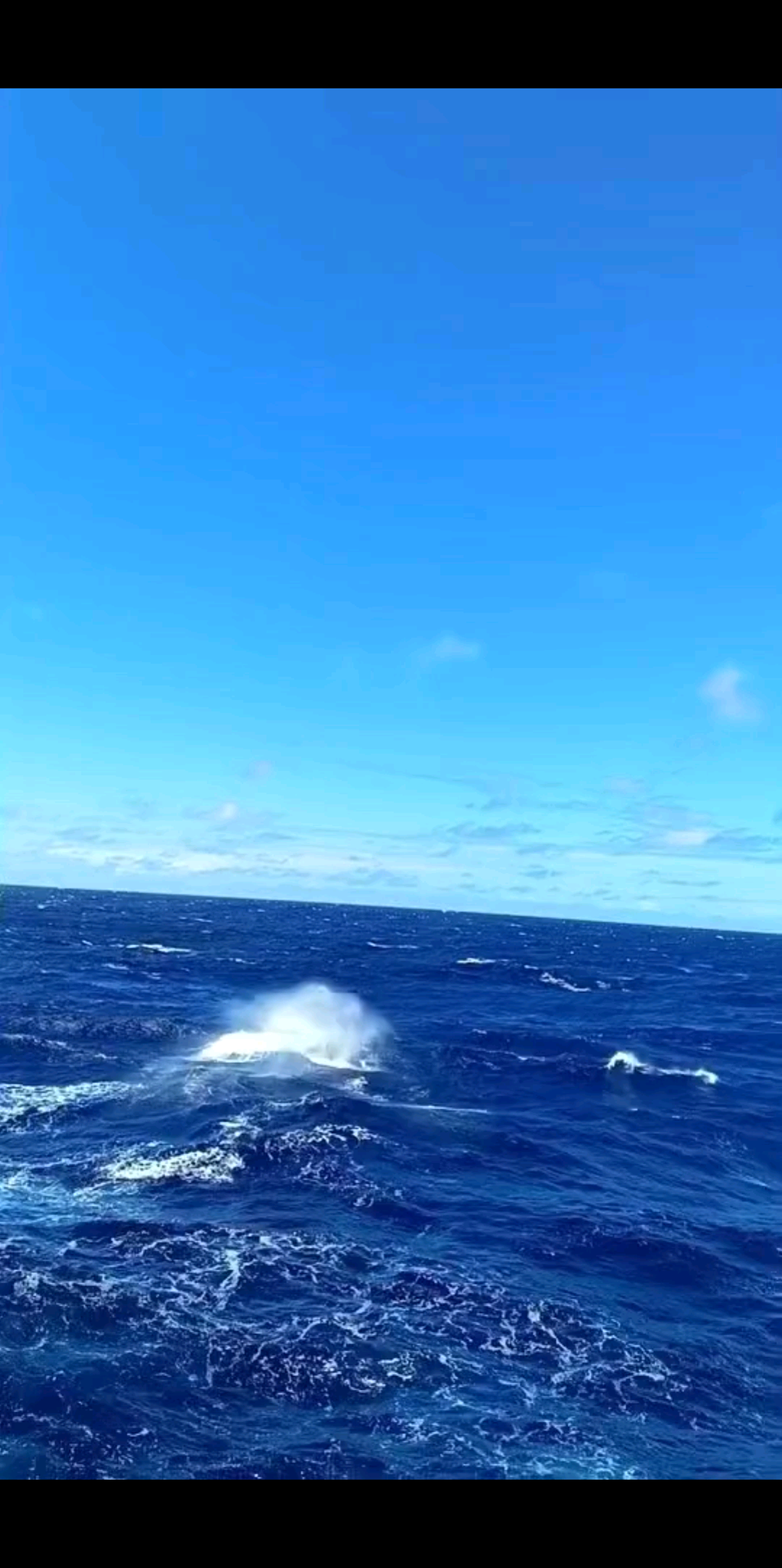 人生就像大海，总有潮