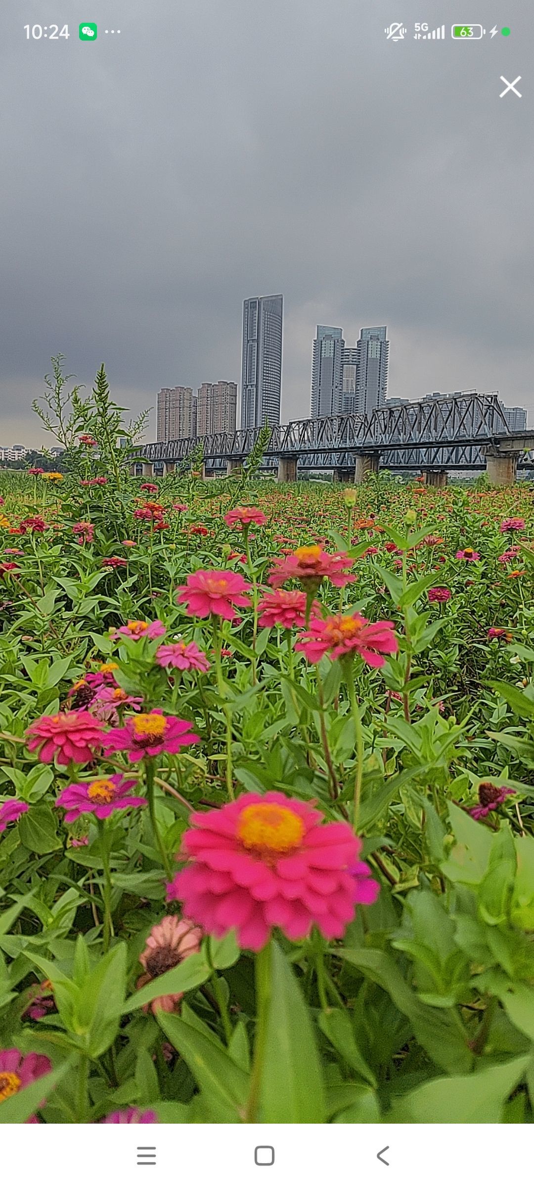 婷婷💕感恩有你陪伴的图片