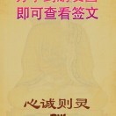 野狼vq的头像