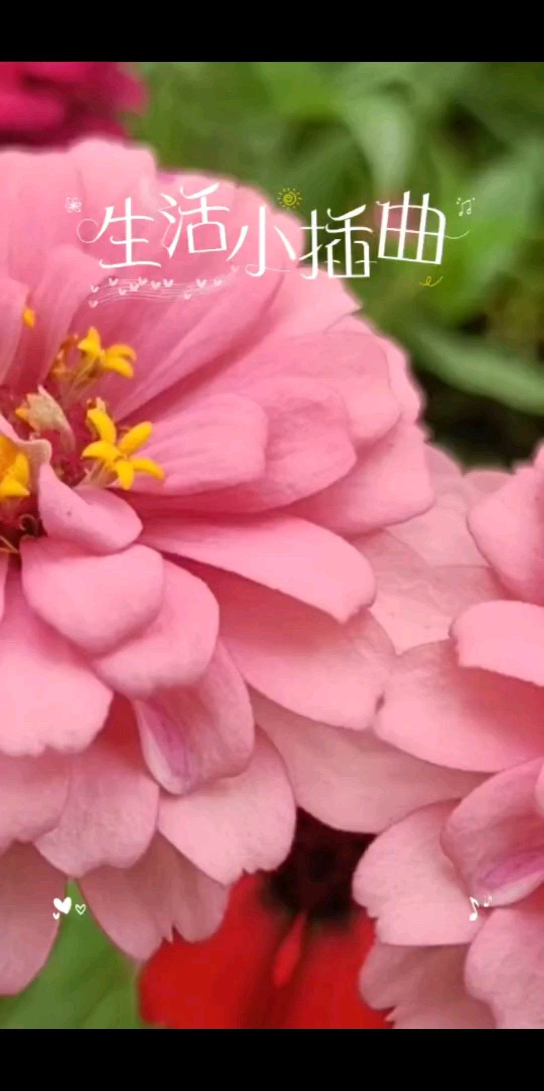 生活就像万花筒，缤纷