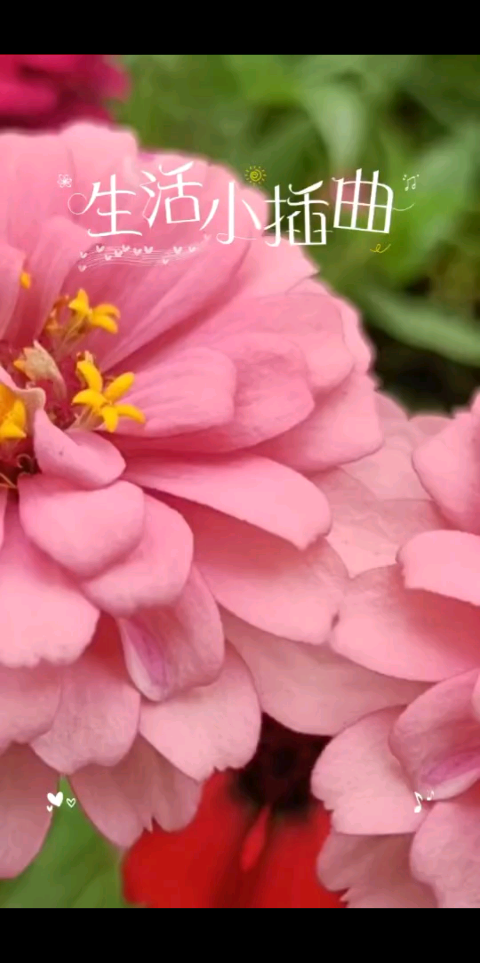 生活就像万花筒，缤纷