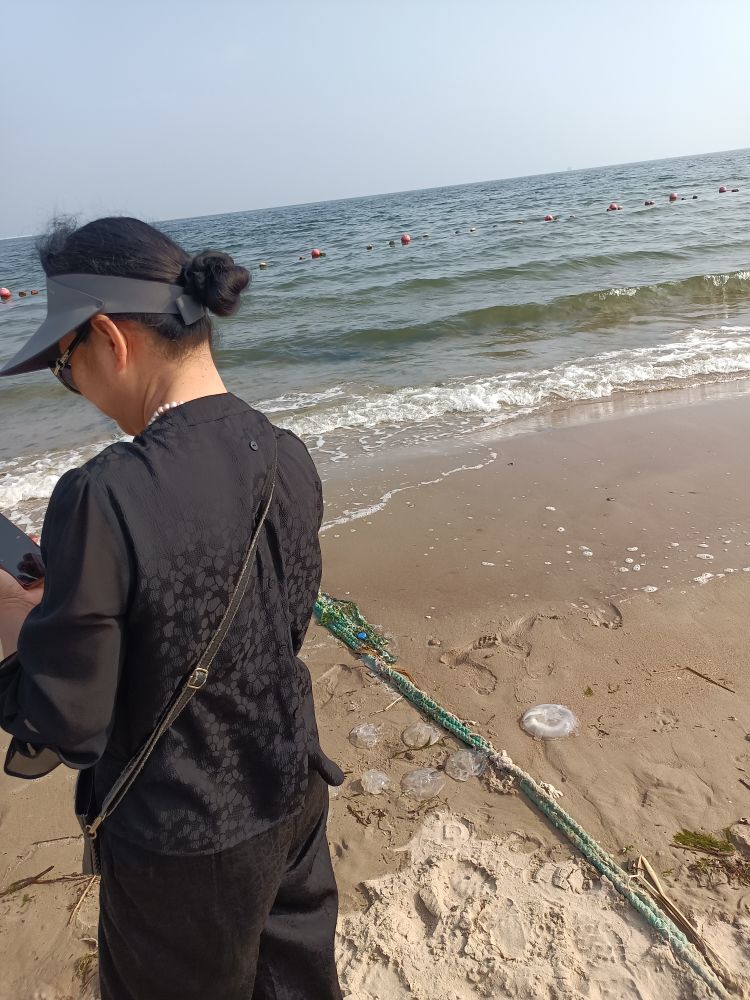 龍菲菲的為你郡王了的主播照片