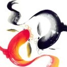 易f5y