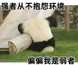 钱悦萌主🐉的图片