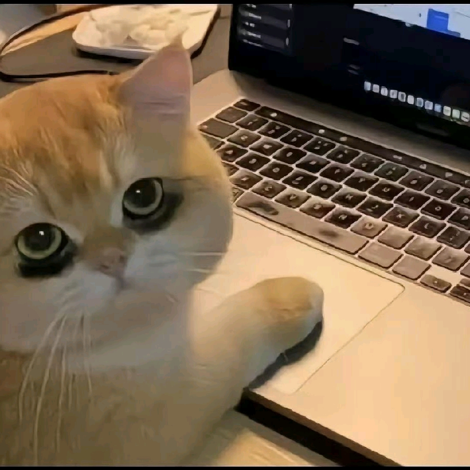 不再沉迷@………海报
