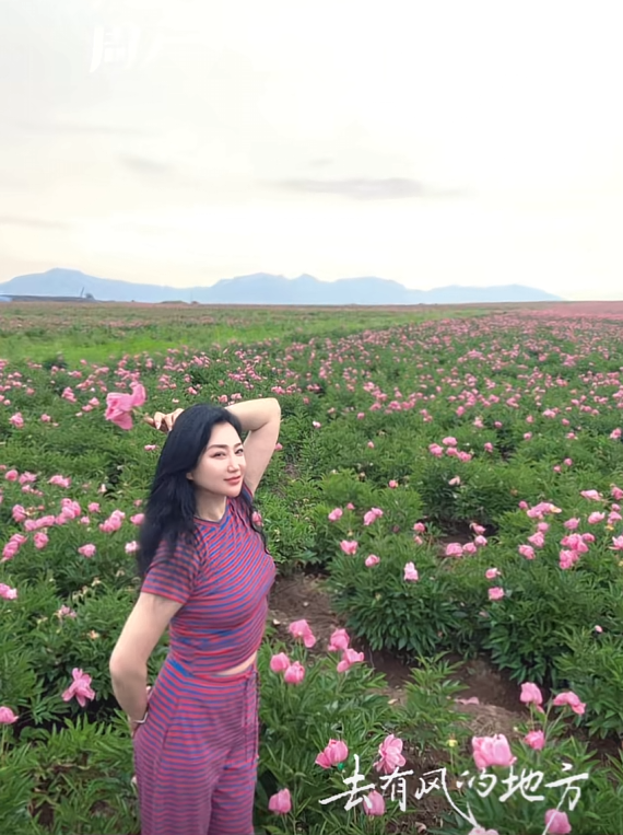 ◇逍遥仙◇的图片