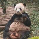 凡事看远一点的头像