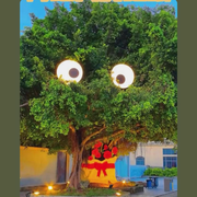 宾宾ve