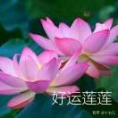 强0hn的头像