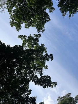 初雪🌞九月一薪一亿主播照片