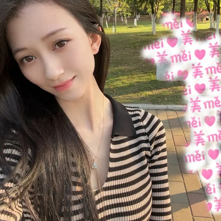 渣渣辉jd海报