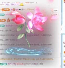 朱才子-的图片