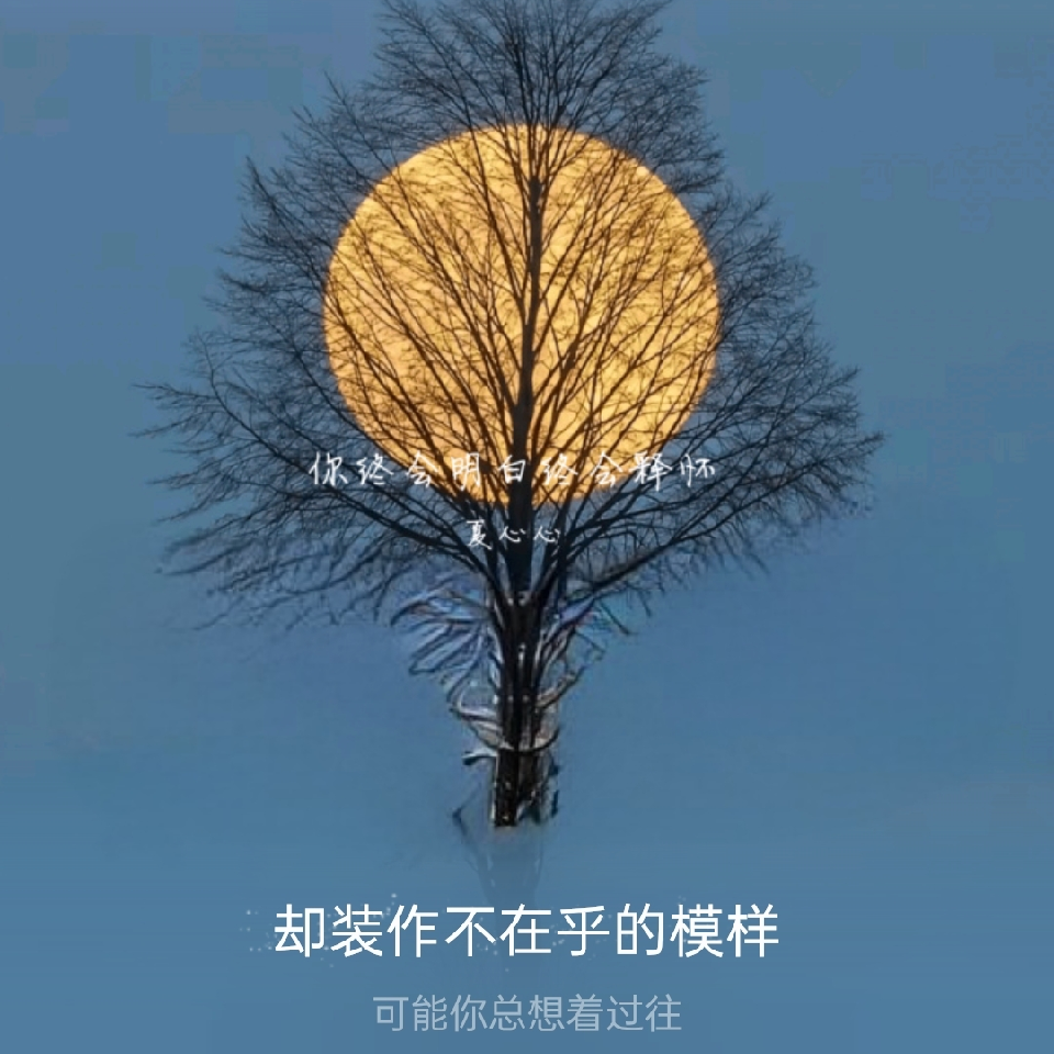 🎉→㊖送给你づ❤️海报