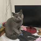宸*5的头像