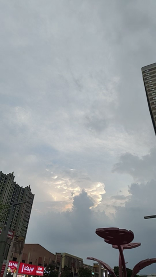 8838~太子奶海报