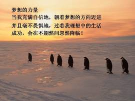 AI.兰舟的图片