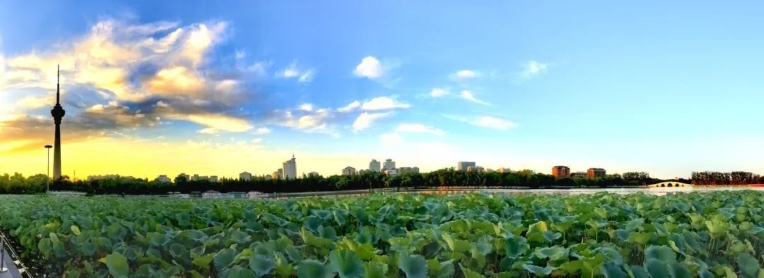 September★主播照片