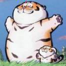 伟伟$l1