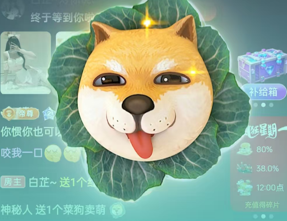 白芷~主播圖片