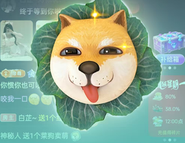 白芷~的图片