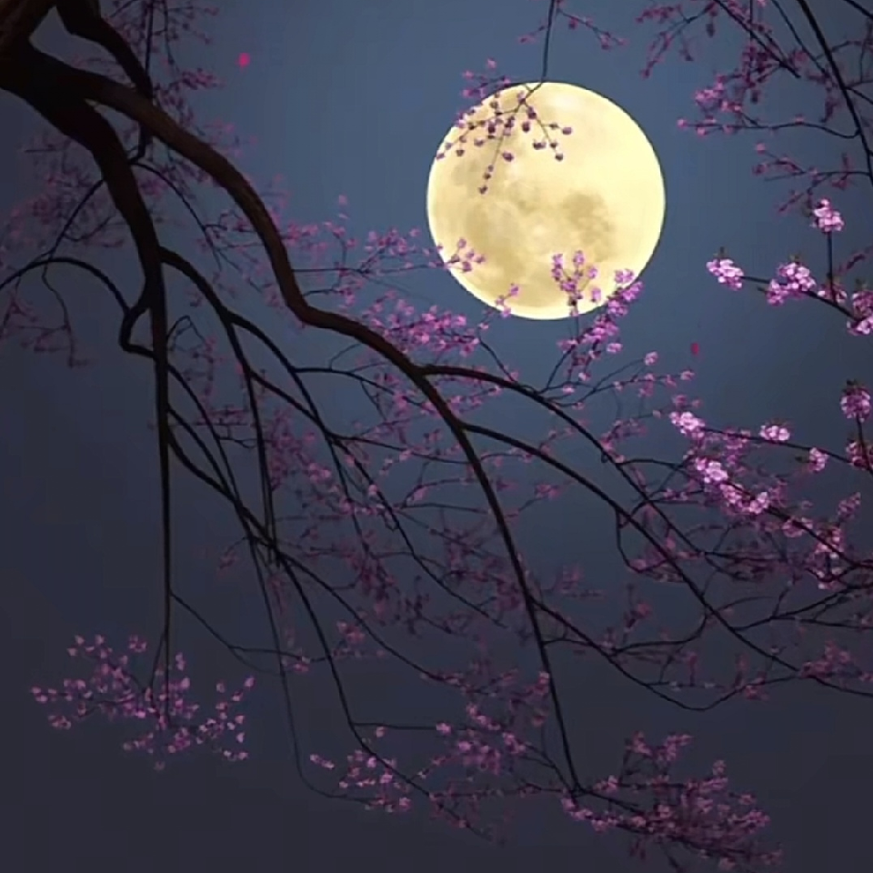 情缘巴士🌈海报